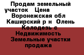 Продам земельный участок › Цена ­ 350 000 - Воронежская обл., Каширский р-н, Олень-Колодезь с. Недвижимость » Земельные участки продажа   